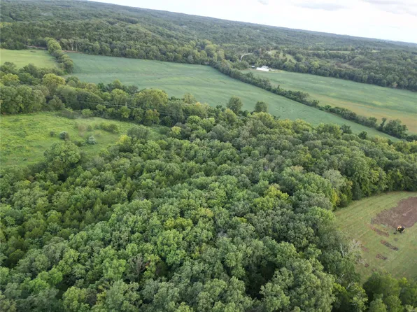 11 Tanglefoot Farms Rd, Festus, MO 63028
