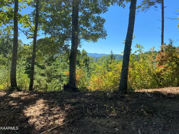 Longhunter 66 Ln Lot 64-65-67, Sevierville, TN 37862