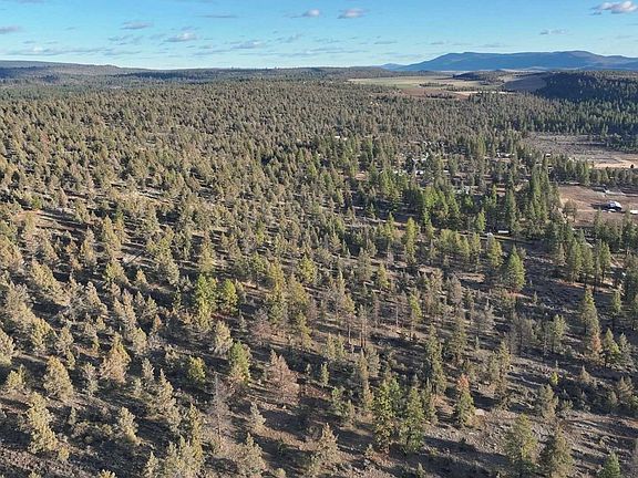 5th image of Canvasback Dr