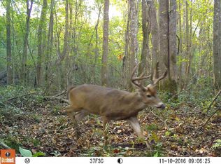 400 Lavender Dr NW, Rome, GA 30165