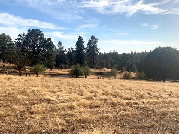 5565 Meadow Ln, Mariposa, CA 95338