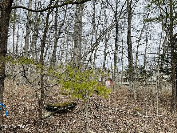 5th image of 15 Linda St Lot 15