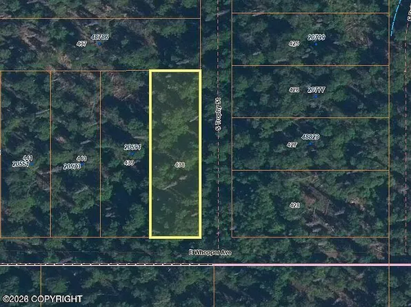 L438 E Whopper Ave, Willow, AK 99688