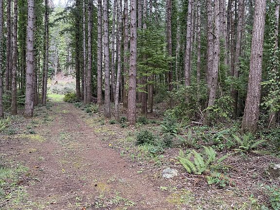 4th image of 0 Orchard Rd #2