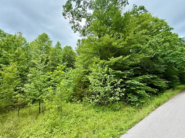 1350 Owens Branch Rd, Dunnville, KY 42528
