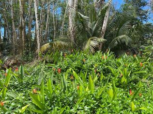 15-2734 Aku St LOT 6, Pahoa, HI 96778