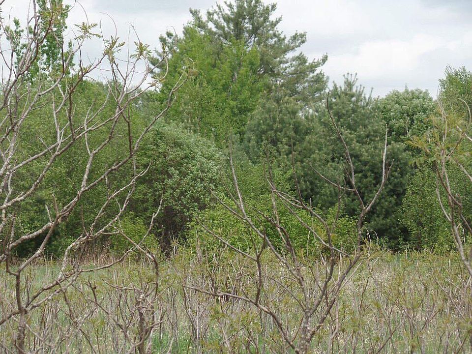 2nd image of Xxx Crooked River Rd