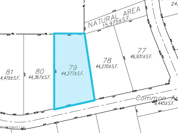 79 Les Maisons Lot Flowood Is, Flowood, MS 39232