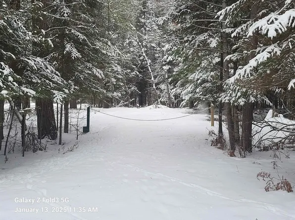Evelyn Ave, Grayling, MI 49738