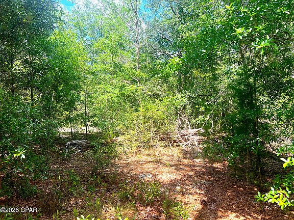 2nd image of Linwood Dr
