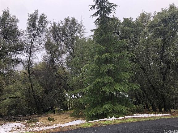 4th image of 50140 Meadowview Dr