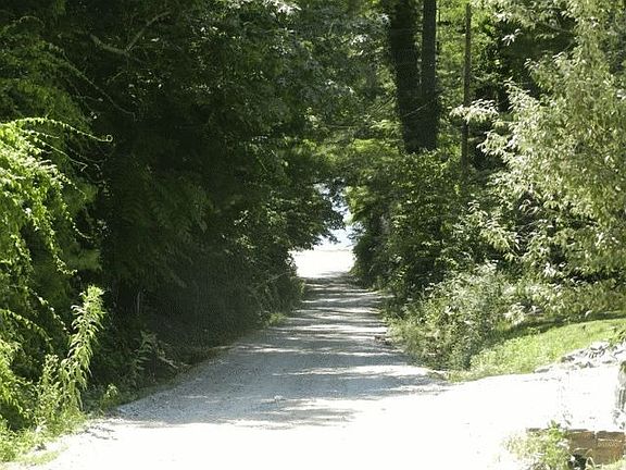 shady lane to Osceola Lake