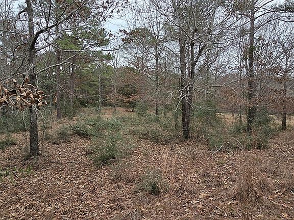 3rd image of Pidn 51641 County Rd #222