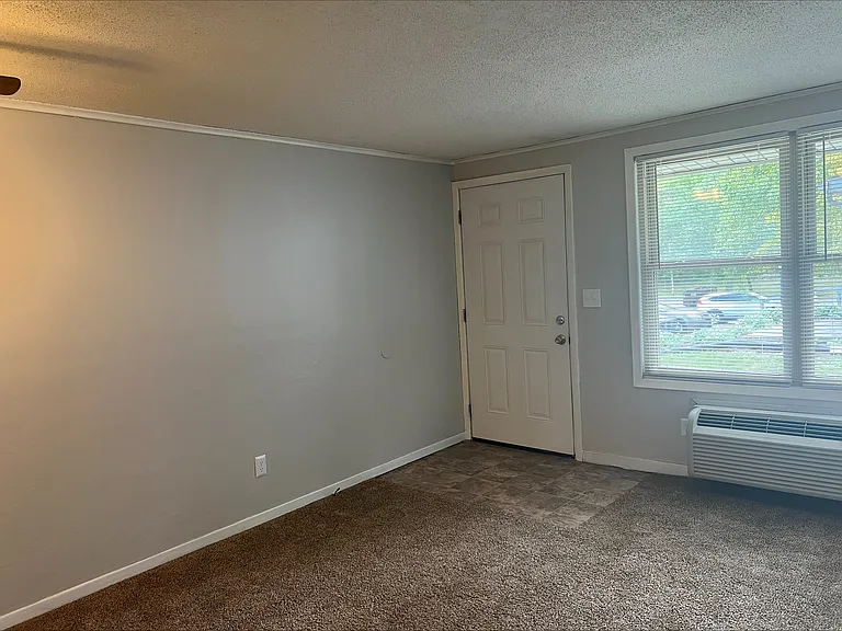 Treeborn Apartments — Photo 24