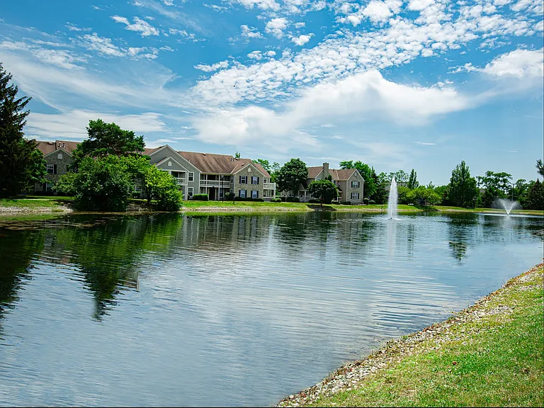 Pond