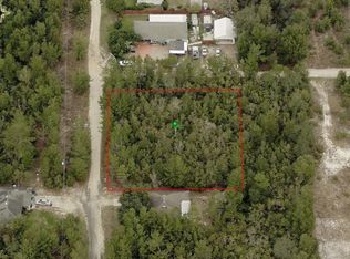 611 Hickory Ave, Orange City, FL 32763