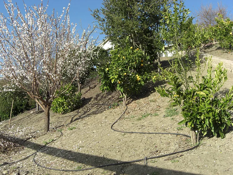 5700 Skyview Pl — Photo 21