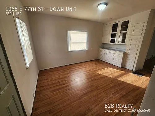 1065 E 77th St #DOWN Photo 1