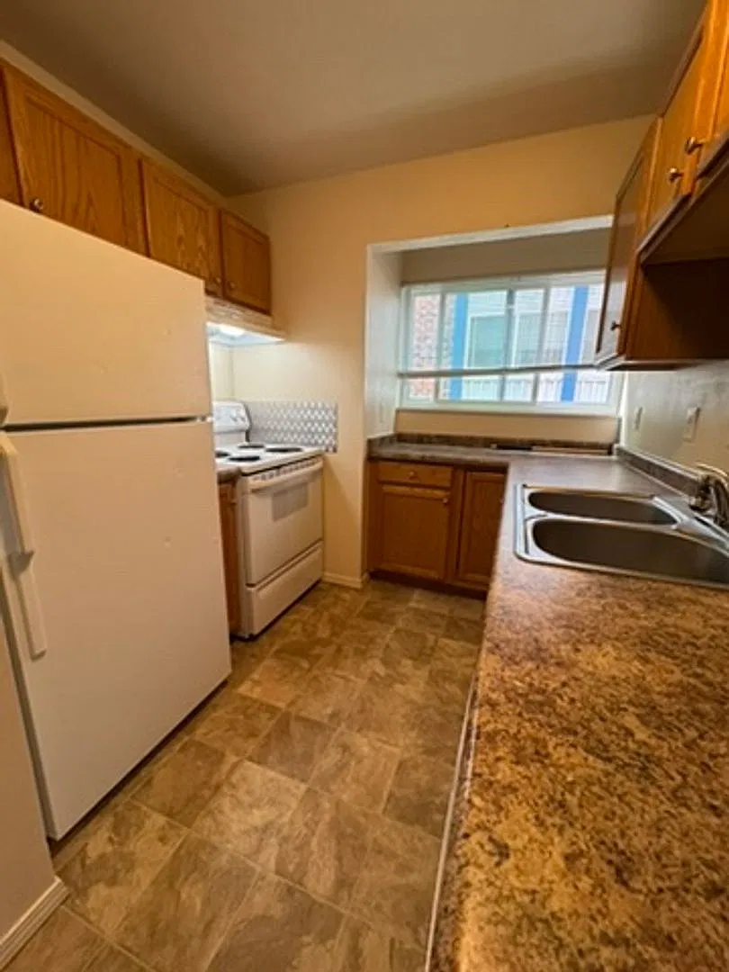 995 Holli Springs Lane — Photo 4