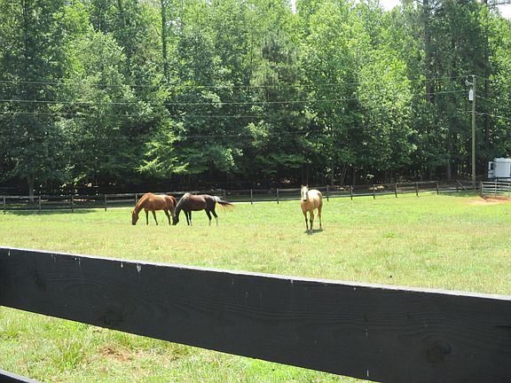 Decks overlook horse meadows and streams