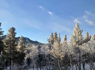 1051 Lazy Z Rd, Nederland, CO 80466