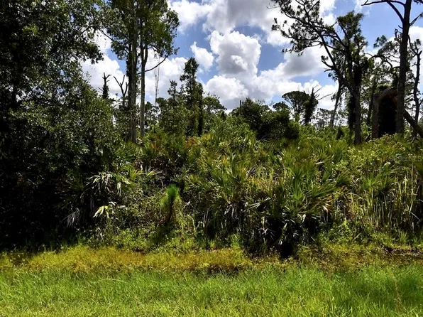 Lots 29 & 30 VESPUCIUS STREET LOT 29, NORTH PORT, FL 34287