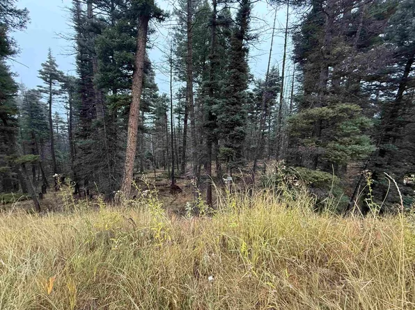 LOT 220 Peak Pl, Angel Fire, NM 87710