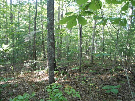 4th image of Crooked Branch Rd