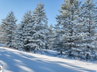 20.71 Spruce Hollow Trce, Fife Lake, MI 49633