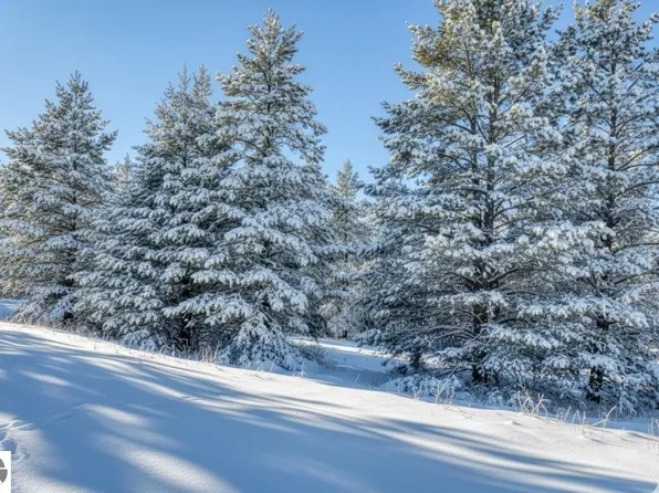 20.71 Spruce Hollow Trce, Fife Lake, MI 49633