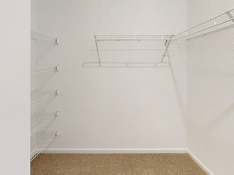Spacious Walk-in Closet