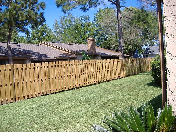 back yard