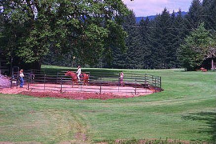 training ring