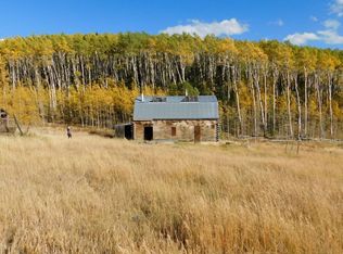 1335 Adams Ave, Westcliffe, CO 81252