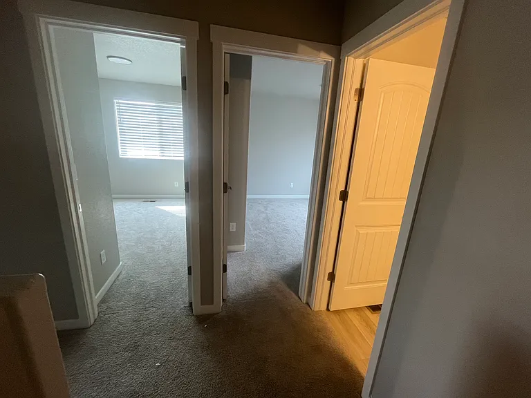 5289 Palomino Ranch Point — Photo 6