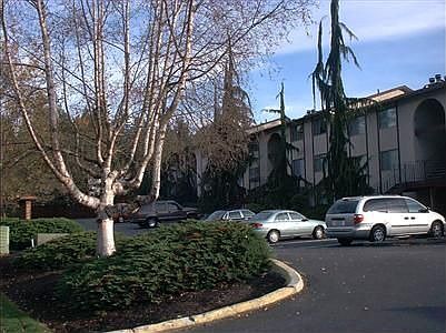 Nicely Kept Landscaping