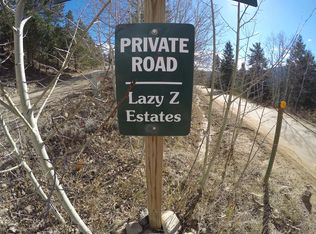 1407 Lazy Z Rd, Nederland, CO 80466