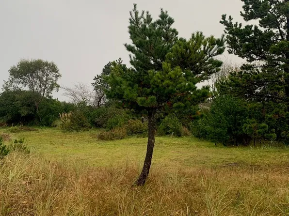 31409 I Street, Ocean Park, WA 98640