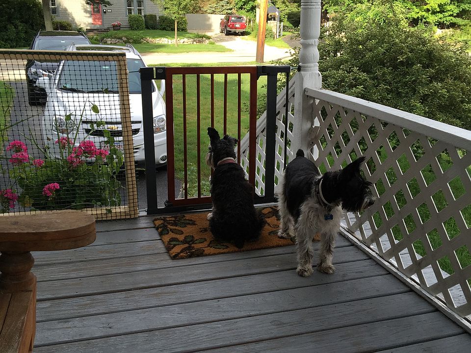 very large porch get sun all day