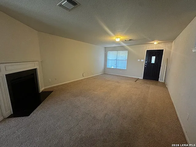 8834 Snow Goose — Photo 4