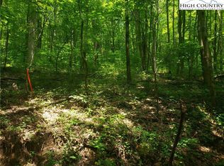 Tbd Chestnut Grove Rd, Boone, NC 28607