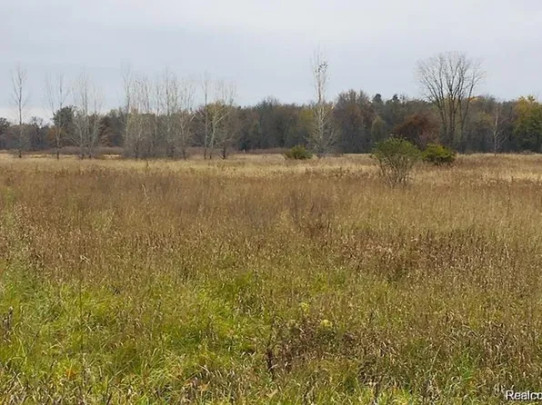 PARCEL Sherwood Rd #D, Fowlerville, MI 48836