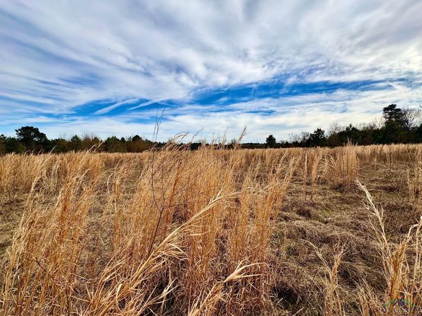 5771 N County Road 324, Tatum, TX 75691