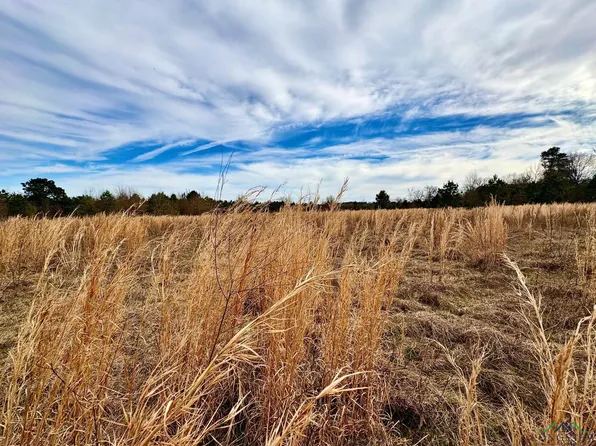 5771 N County Road 324, Tatum, TX 75691