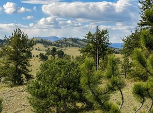 115 Black Canyon Court, Hartsel, CO 80449