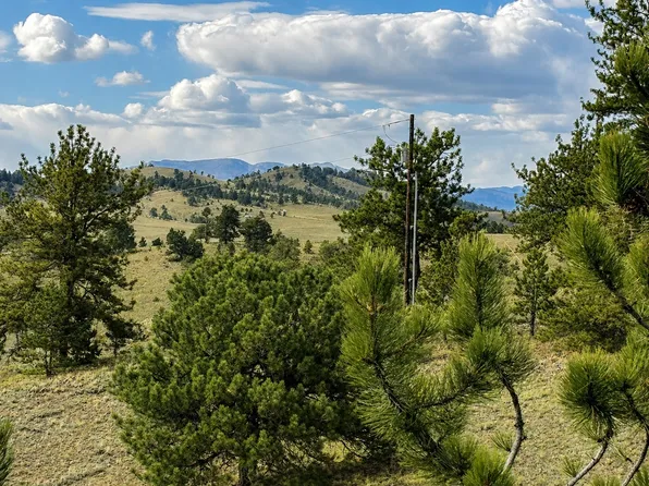 115 Black Canyon Court, Hartsel, CO 80449