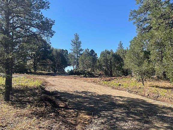 5th image of 329 Fishers Peak Parkway