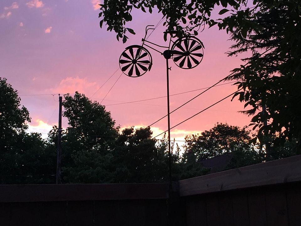 sunset in the backyard