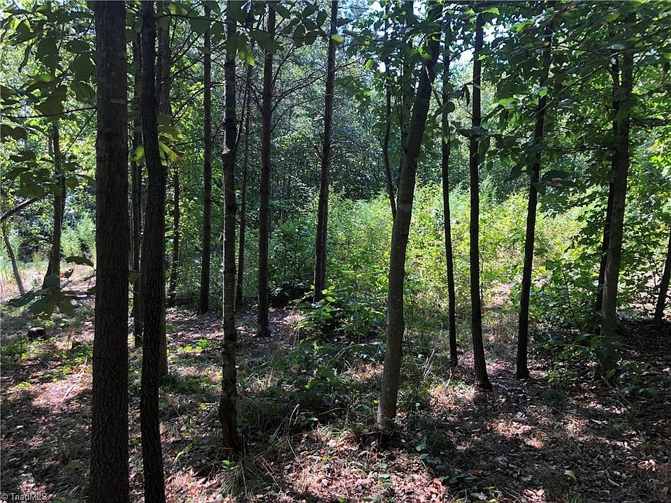 2nd image of 2091 Fanning Rd