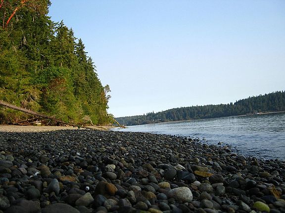 Rocky beaches!